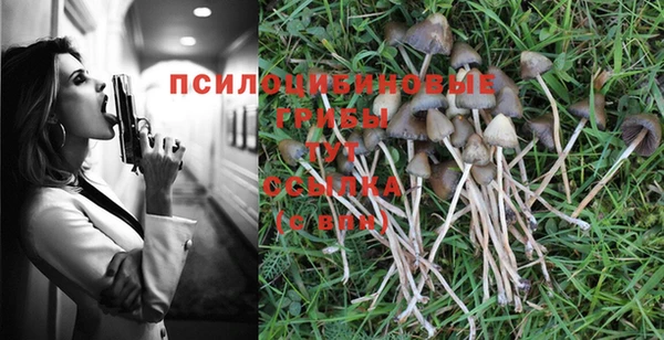 гидра Верхнеуральск