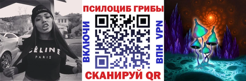 Купить  Людиново  Псилоцибиновые грибы мухоморы 